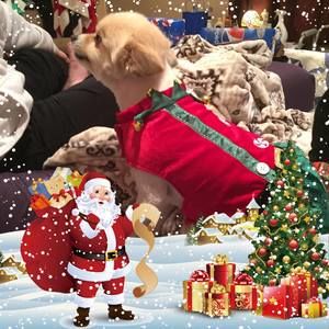 Meet your Posher, Lee